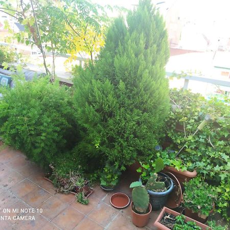 Habitacion Mv Μαδρίτη Εξωτερικό φωτογραφία